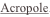shapeimage_2_link_8